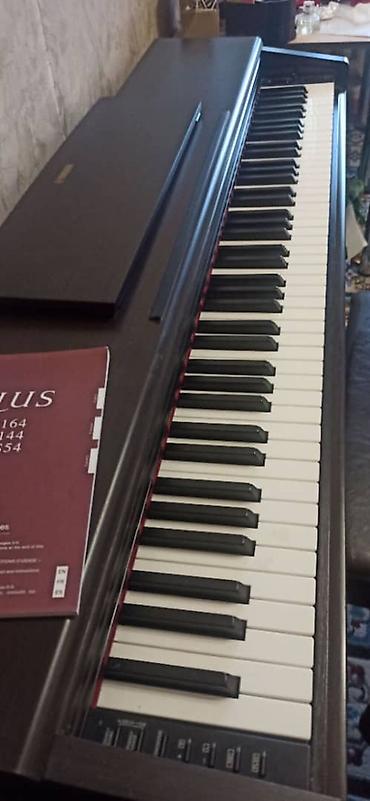 Продаю цифровое пианино Yamaha Arius YDP-144 (2020 г.) в идеале + at lalafo.kg Продаю цифровое пианино Yamaha Arius YDP-144 (2020 г.) в идеале +