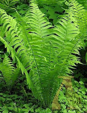 Дизайн, проектирование: Дизайн | Дома — 4