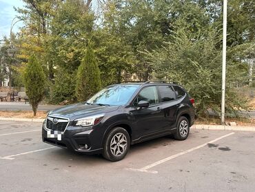 форестер sf: Subaru Forester: 2019 г., 2.5 л, Вариатор, Бензин, Кроссовер