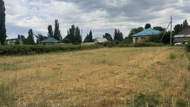 продаю дом в рабочем городке: 12 соток, Для строительства, Красная книга
