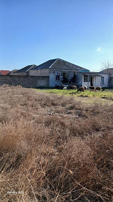 Torpaq sahələrinin satışı: Tikinti — 6