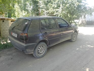 стекло машины: Volkswagen Golf: 1995 г., 1.6 л, Механика, Бензин, Хэтчбэк