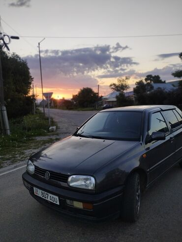 хоба машина: Volkswagen Golf III, пятидверный хэтчбек, темно-серый цвет