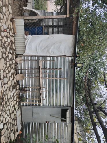 Həyət evləri və villaların satışı: 1 otaqlı, 36 kv. m, Yeni təmirli — 32