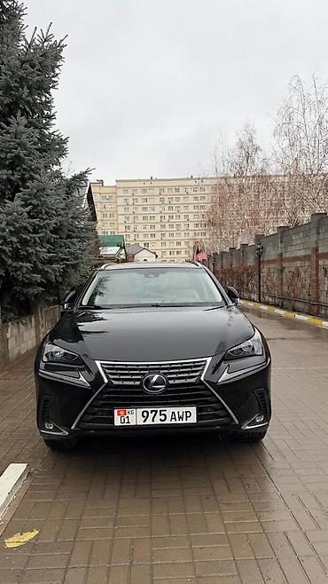 300h: Lexus NX: 2019 г., 2.5 л, Вариатор, Гибрид, Кроссовер — 1