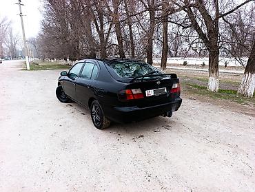 аренда авто хундай соната в бишкеке: Nissan Primera: 1998 г., 1.8 л, Механика, Бензин, Седан — 2