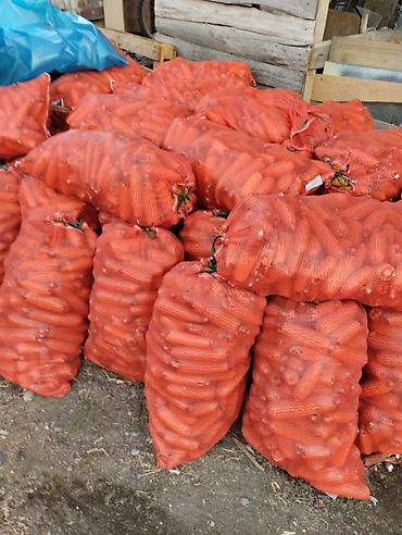 Кукуруза в сетках сокулук - Упаковка: прочные оранжевые сетчатые