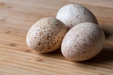 купить яйцо инкубационное бройлерное: Куплю | Инкубационные яйца