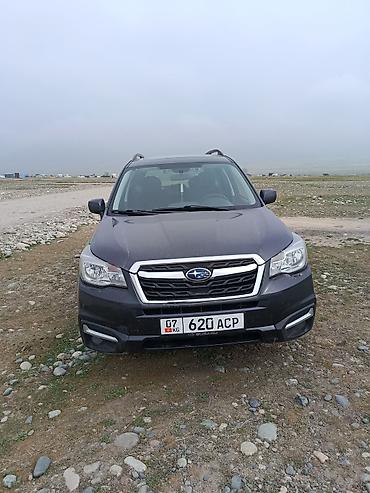 mini cupper: Subaru Forester: 2017 г., Кроссовер — 4