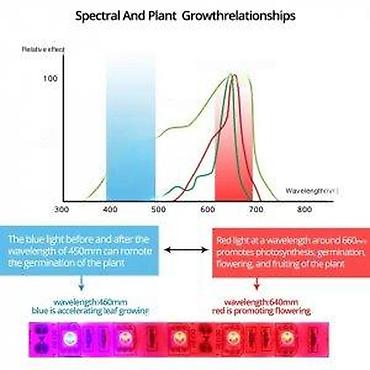Rasveta: GROW LED TRAKA ZA RAST BILJAKA 3:1 5050 DIODE 12V | *Brojni — 14