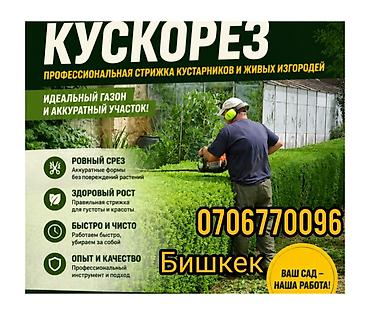 стрижка деревьев: Кусторез – профессиональная стрижка кустарников и живых изгородей — 1