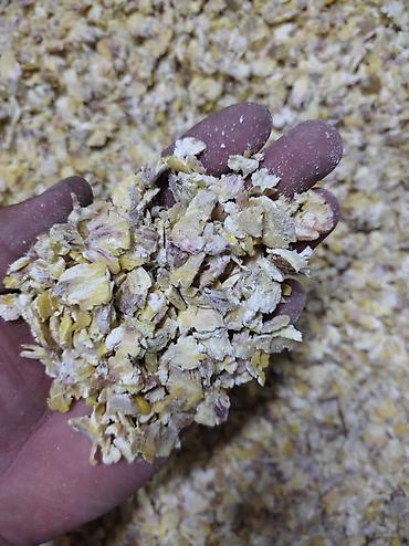 Кормодробилки: Плющилка для зерна однофазные и трёхфазные . Делаю на заказ at lalafo.kg — 4 Кормодробилки: Плющилка для зерна однофазные и трёхфазные . Делаю на заказ — 4