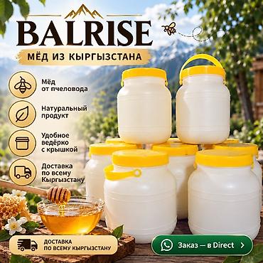 килемдер бишкек баасы: BALRISE — мёд из Кыргызстана - Натуральный продукт прямо от пчеловода — 1