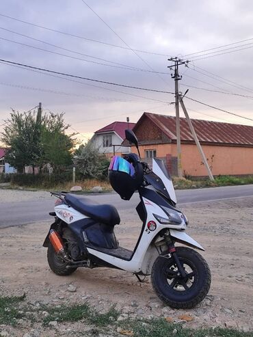 купить мотороллер муравей в бишкеке: Скутер/мопед городского типа - Кузов: пластиковый обтекатель, цвет