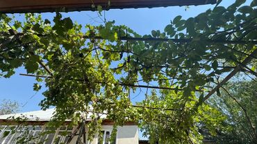 Продажа домов: Дом, 150 м², 5 комнат, Собственник, Косметический ремонт — 17