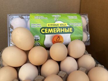 Молочные продукты и яйца: Экологические чистые яйцы на ваш выбор Оптом и в розницу доставка