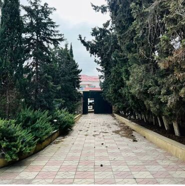 Bağ evlərinin kirayəsi: Bilgəh qəs., 200 kv. m, 4 otaqlı — 22