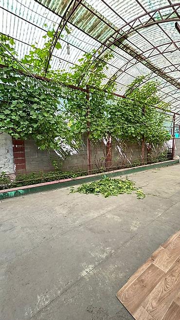 береговой: 4 комнаты, 100 м², Бишкек — 5
