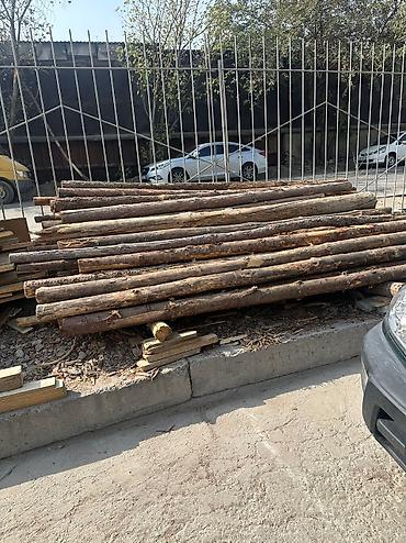 Лес кругляк: Срочно!!! Продается Кругляк(сосна, пихта, тополь и др. породы)длина — 5