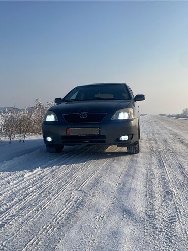 Toyota: Toyota Corolla: 2003 г., 1.8 л, Механика, Бензин, Хэтчбэк