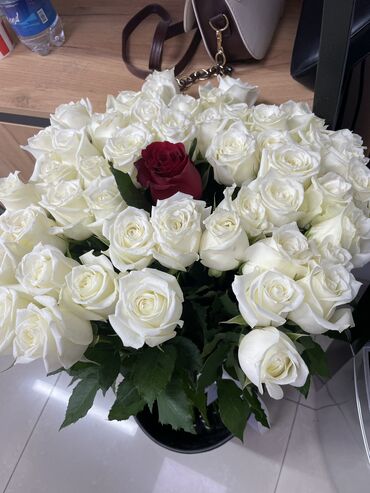 цветы горшочные: Продаю срочно цветы, сегодняшние, голландские розы - 51шт, 70см