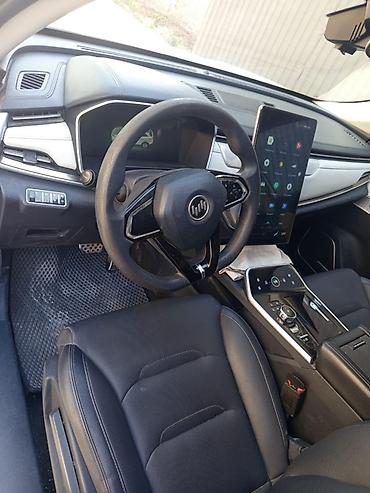 sprinter 4 4: Weltmeister EX5, 2021 г. — 7
