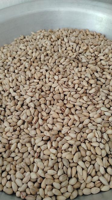 Продукты питания: Фисташки (неочищенные, в скорлупе) 1300сом за кг - Натуральные — 1