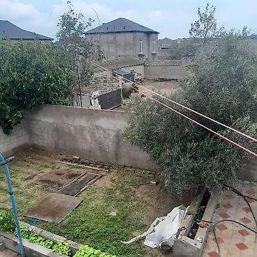 bulbulə torpaq: 8 sot, Kupça (Çıxarış) — 1