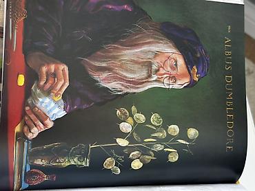 Балдарга арналган китептер: Иллюстрированные издания «Harry Potter» Дж. К. Роулинг с рисунками — 2
