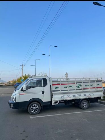 ветеринар кара балта: Портер такси 🚕 Портер такси 🚕 Портер такси 🚕 Портер такси 🚕 Портер