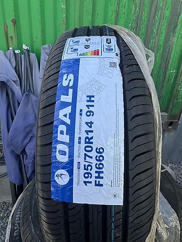 cls 55: Летняя шина OPALS FH666 195/70 R14 91H - Тип: легковая, летняя - — 1