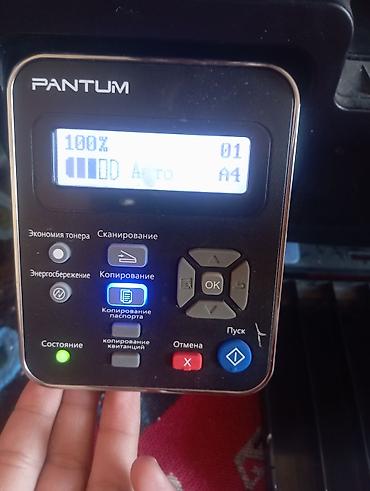весы масса к: Лазерное МФУ Pantum M6500 — монохромный принтер, сканер и копир в — 1