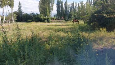 продаю дом город кант село дмитриевка: Дом, 70 м², 4 комнаты, Собственник