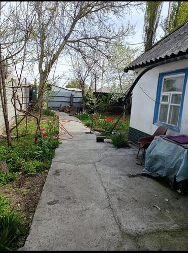 дом с орто сай: Дом, 40 м², 2 комнаты, Собственник