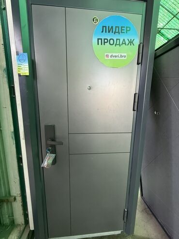 двери для подъезда с домофоном: Входная металлическая дверь, современный минималистичный дизайн, цвет