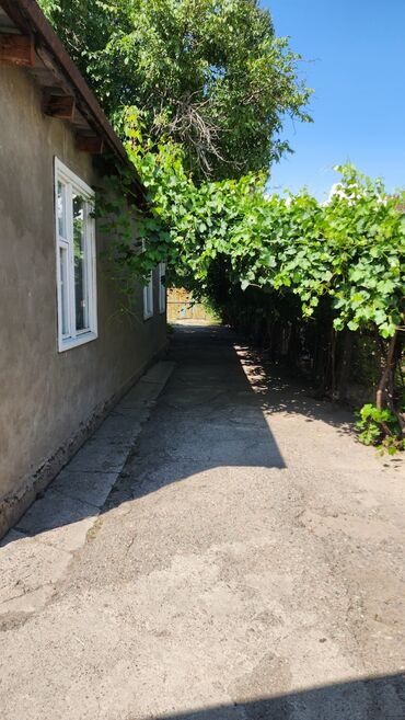 дома александровка: Дом, 165 м², 5 комнат, Собственник