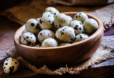 Дом и сад: Продаю свежие домашние перепелиные яйца