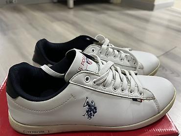 Оригинал ….Кеды U.S. Polo Assn. Franco DHM - Оригинальные белые кеды