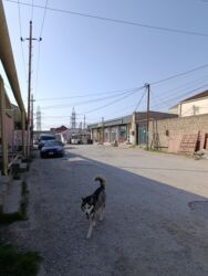 Həyət evləri və villaların satışı: 2 otaqlı, 50 kv. m, Kredit yoxdur, Yeni təmirli — 28