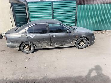 bmw e39 m5: Nissan Primera: 2000 г. — 3