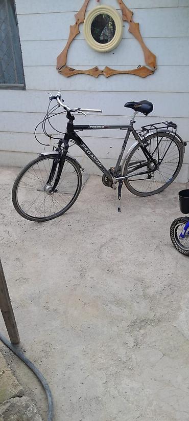 velosiped mercury: Pegasus Premio (Alu) şəhər/trek velosipedi - Yüngül alüminium gövdə - — 1