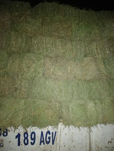 Зерновые культуры: Беде Беде Беде Клевер Клевер доставка укладка эсть. туки метровые — 7