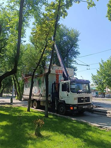 Услуги манипулятора: Стрела 10 м, 5 т, Борт 12000 кг — 6