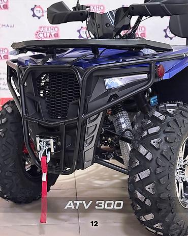 Квадроциклы: Квадроцикл Бензин, 320 куб. см, Взрослый — 12