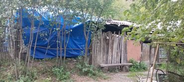 Torpaq sahələrinin satışı: 15 sot, Mülkiyyətçi, Kupça (Çıxarış), Texniki pasport — 12