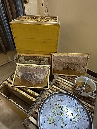 digər alətlər: Süzülmüş təmiz dağ balı. Öz istifadəmiz üçün saxlayırıq artıq olanı — 3