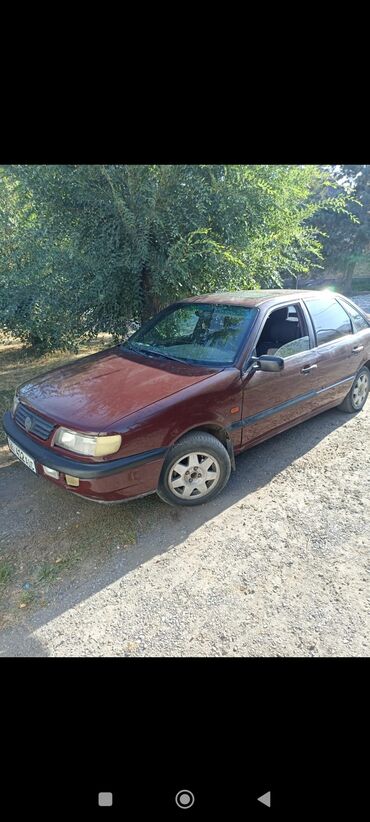 шины сапок: Volkswagen Passat B4, седан, бордовый цвет. Кузов и экстерьер: - 4