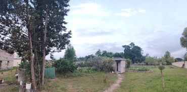 Torpaq sahələrinin satışı: 25 sot, Tikinti, Mülkiyyətçi, Bələdiyyə -da lalafo.az — 7 Torpaq sahələrinin satışı: 25 sot, Tikinti, Mülkiyyətçi, Bələdiyyə — 7