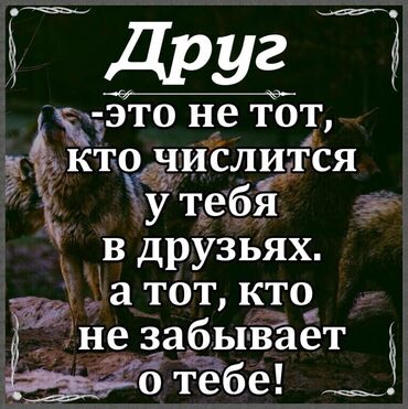 требуется уборщица неполный рабочий день: Требуется Пекарь :, Оплата Ежедневно, Менее года опыта