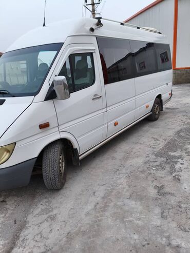 Mercedes-Benz: Mercedes-Benz Спринтер: 2005 г., 2.9 л, Механика, Дизель, Бус — 2